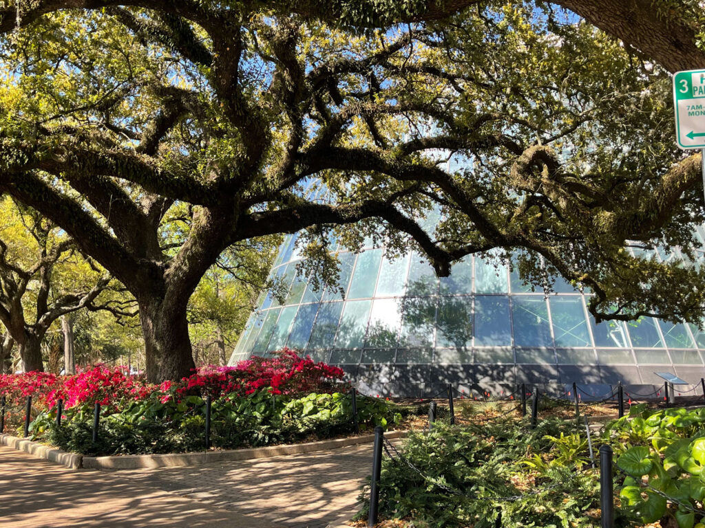 Museum of Natural Science in Houston: Butterfly Exhibit