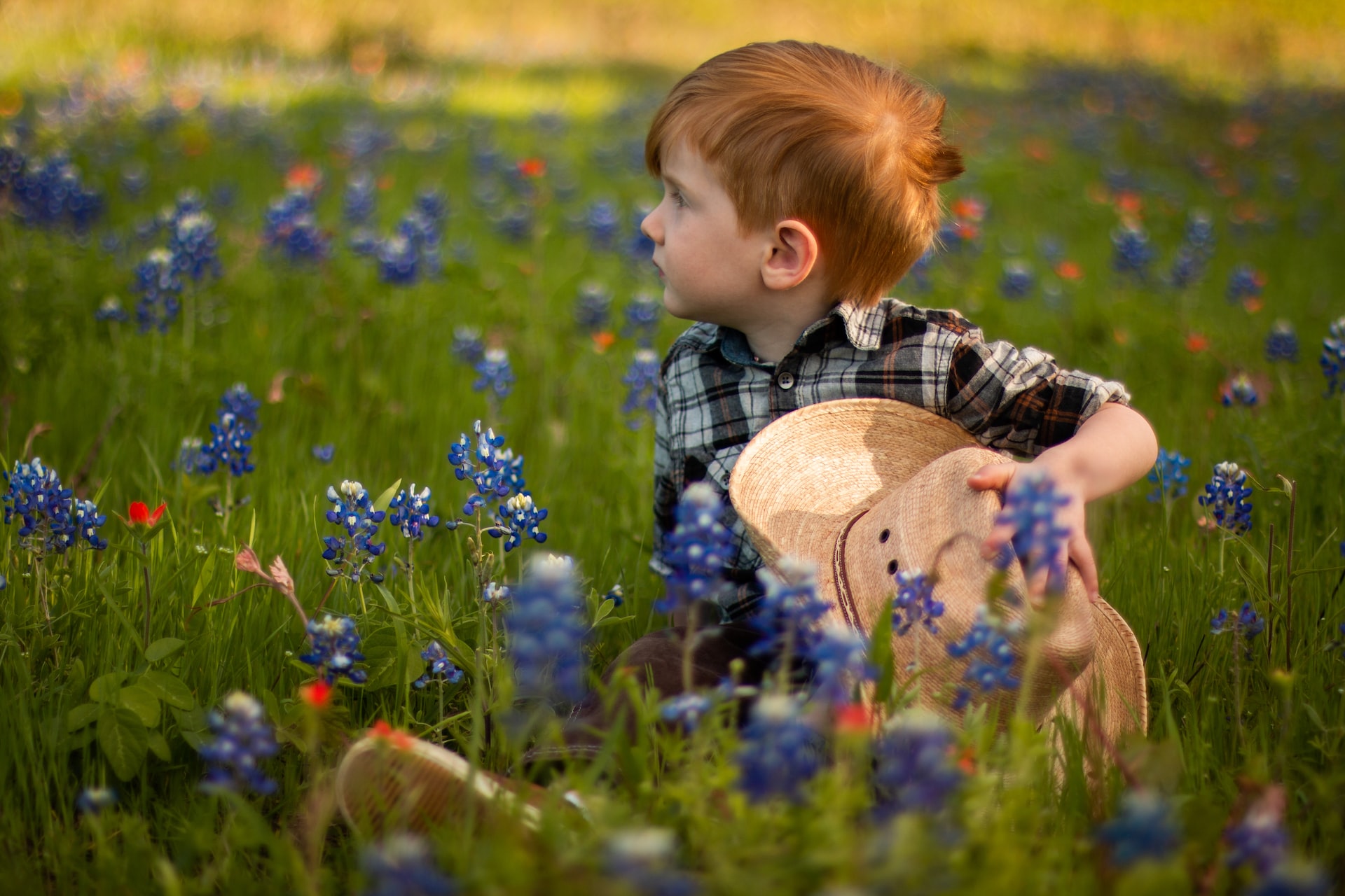 Bluebonnets are the official flower of Texas and very popular for photoshoots