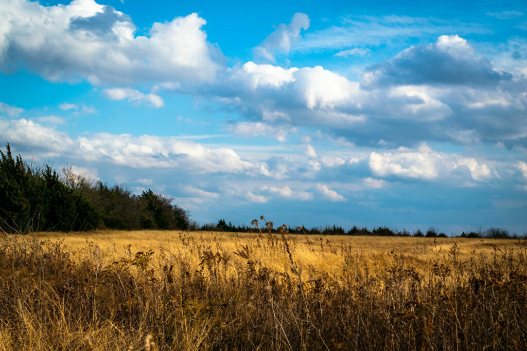 Why You Should Move to Dallas: Texas Weather