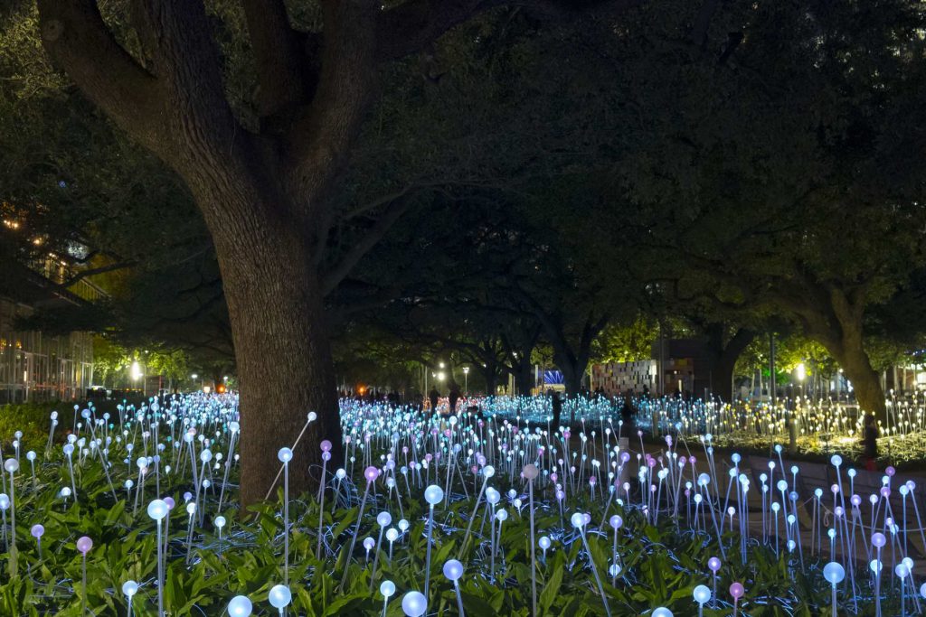 28,000 glowing “flowers” will bloom at the Lady Bird Johnson Wildflower Center this fall