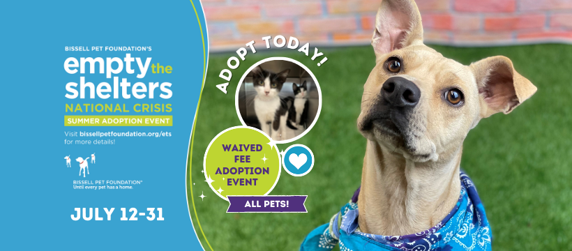 Houston's Animal Shelter BARC is Waving Pet Adoption Fees in Houston Texas