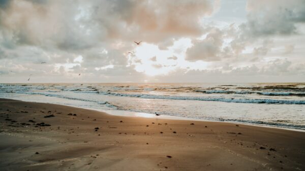 Beach Camping in Texas - Padre Island