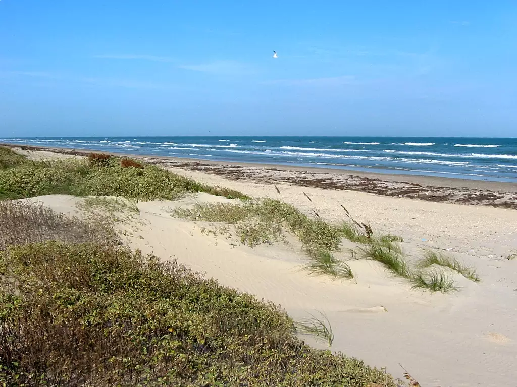 North Beach Campground Padre Island - Beach Camping in Texas