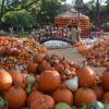 National Pumpkin day in Dallas autumn attractions and events this October