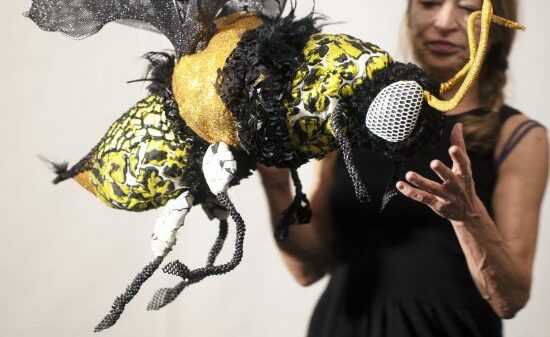 Houston Artist’s Newest Exhibit Inspired by Colorado’s Wild Side