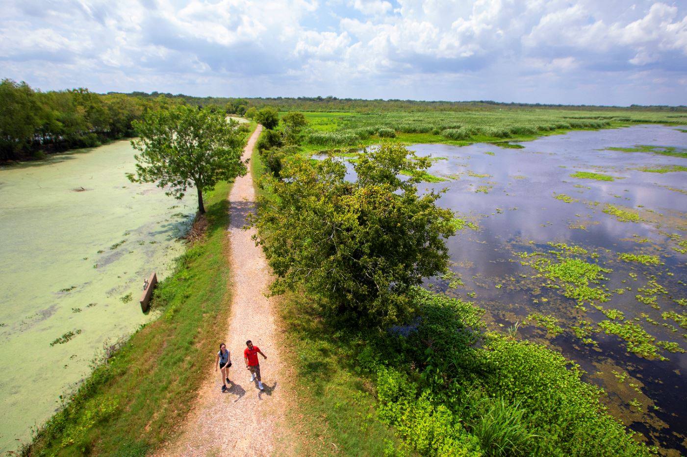 Brazos Bend State Park Sugar Land Texas