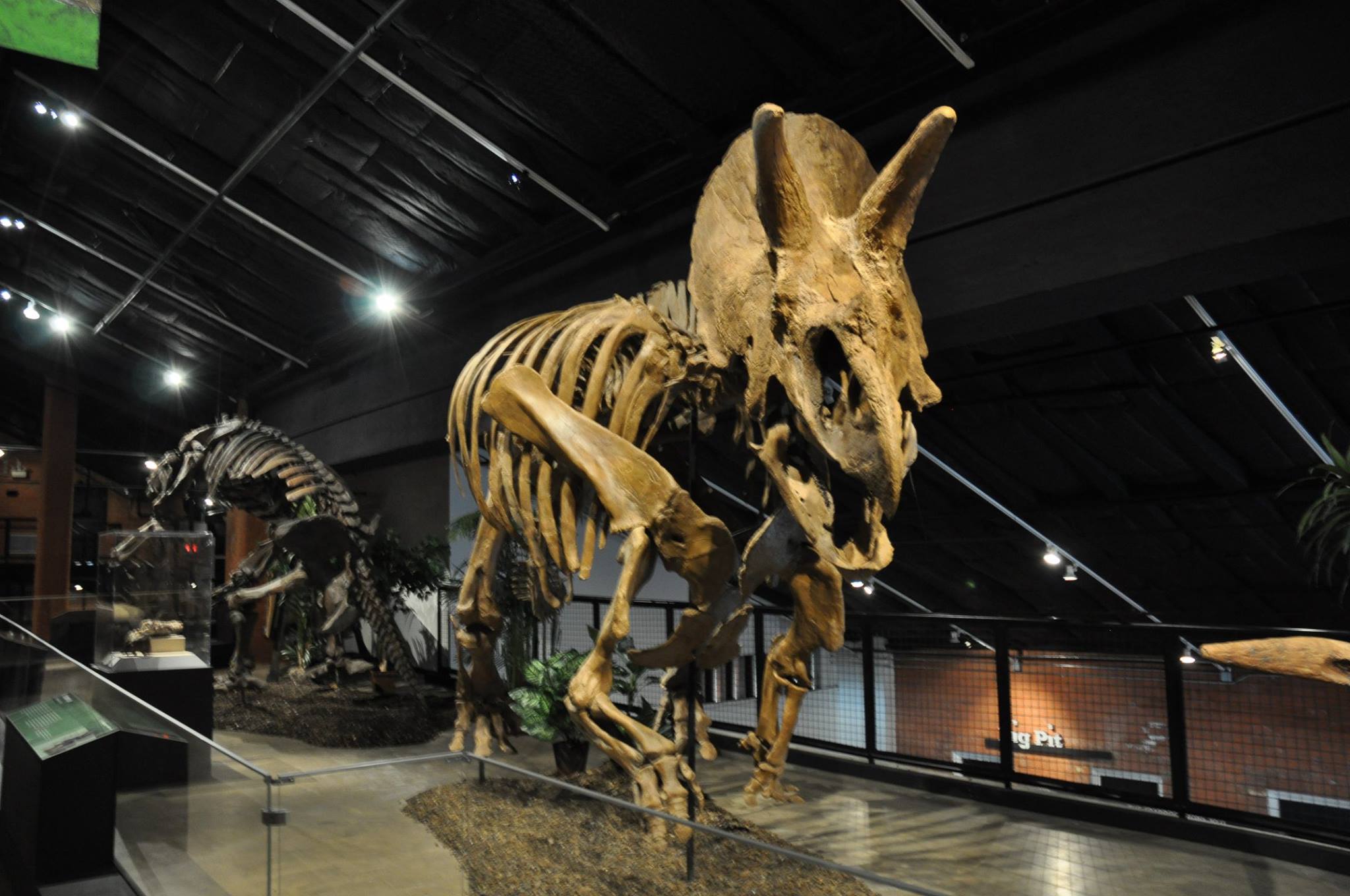 Houston Museum of Natural Science - Sugar Land Campus