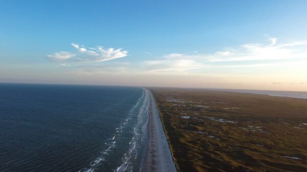 is moving to texas a good idea - south padre island texas