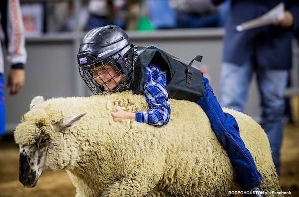 Your Guide to the Houston Livestock Show & Rodeo