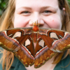 Lauren Davidson - Manager of the  Cockrell Butterfly Center