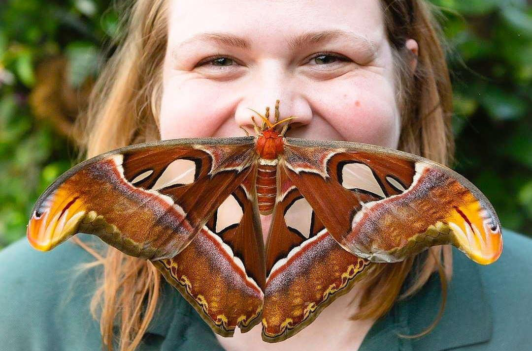 Lauren Davidson - Manager of the  Cockrell Butterfly Center