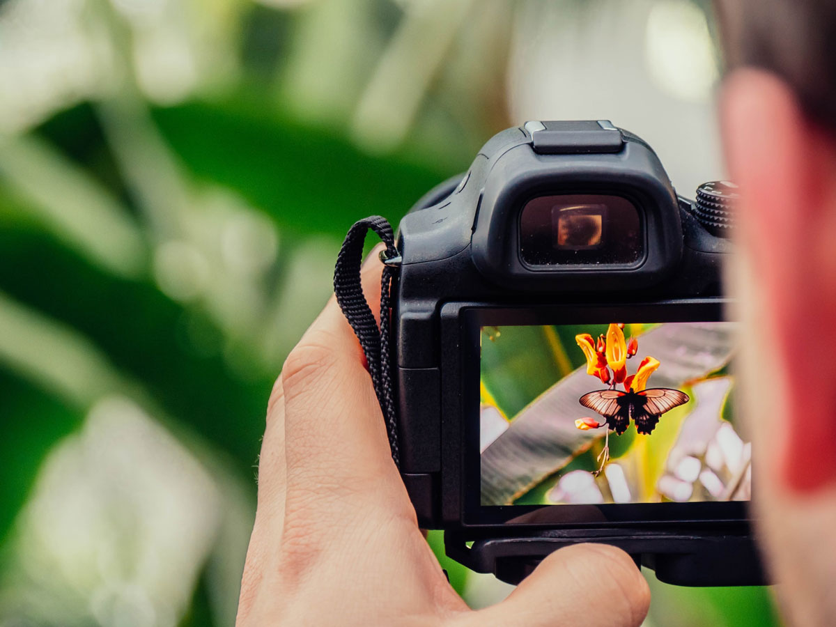 take photos of a scenic trail in Texas during the summer as an outdoor activity idea