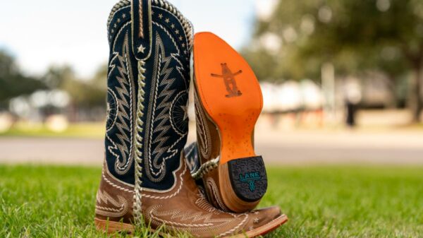2025 rodeohouston itinerary