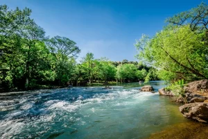 Welcoming Spring in Texas With This Month's Texas Guide