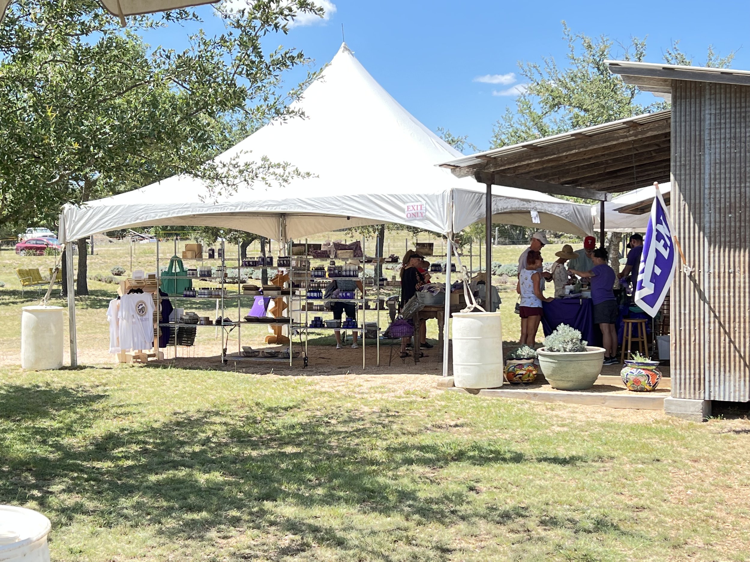 Blanco Lavender Festival