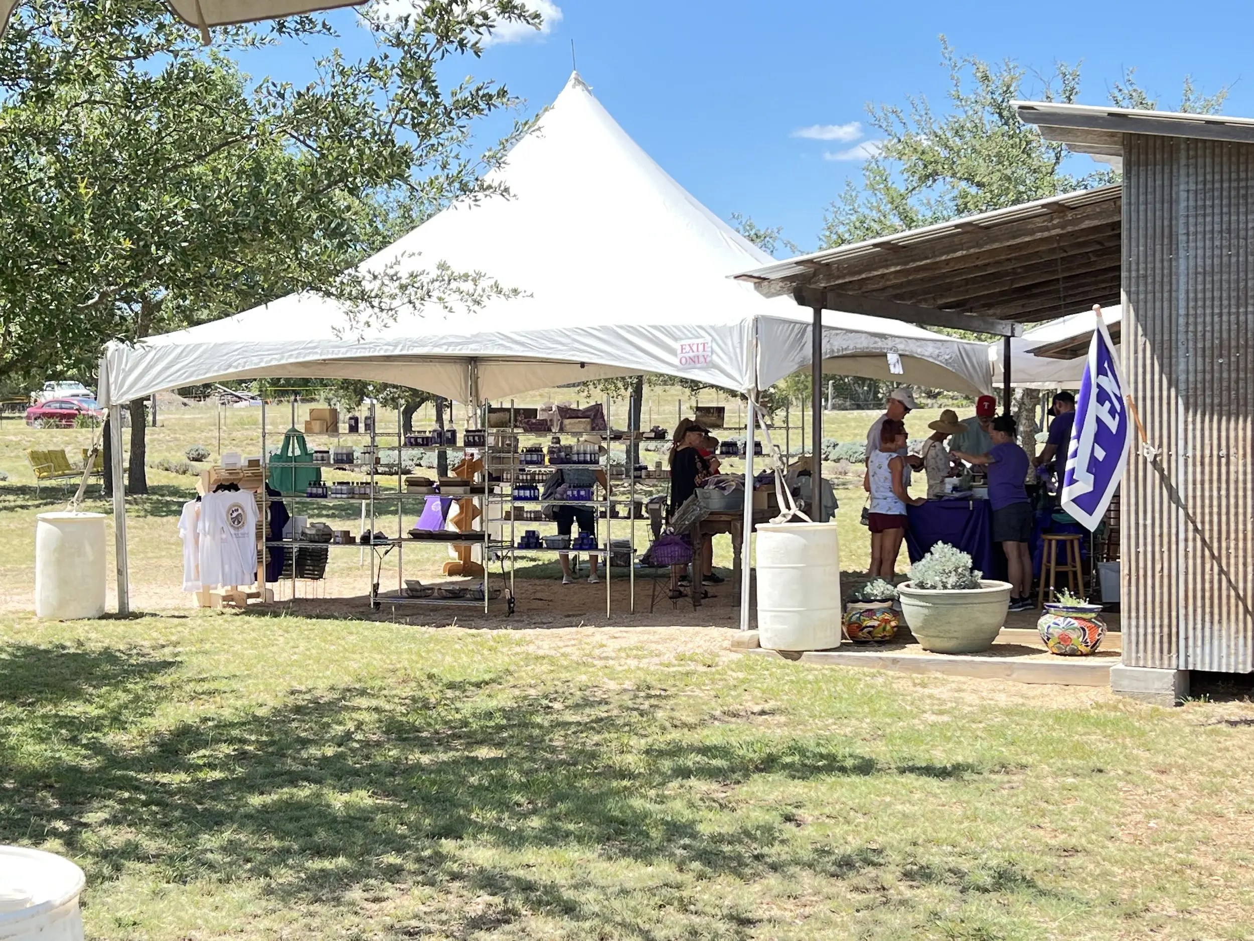 Blanco Lavender Festival