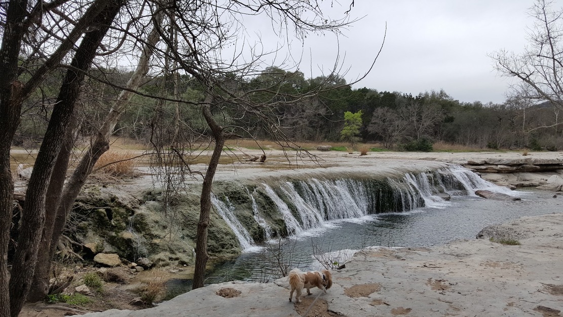 Small dog on a leash standing near the edge of a limestone waterfall at Bull Creek District Park surrounded by winter trees.