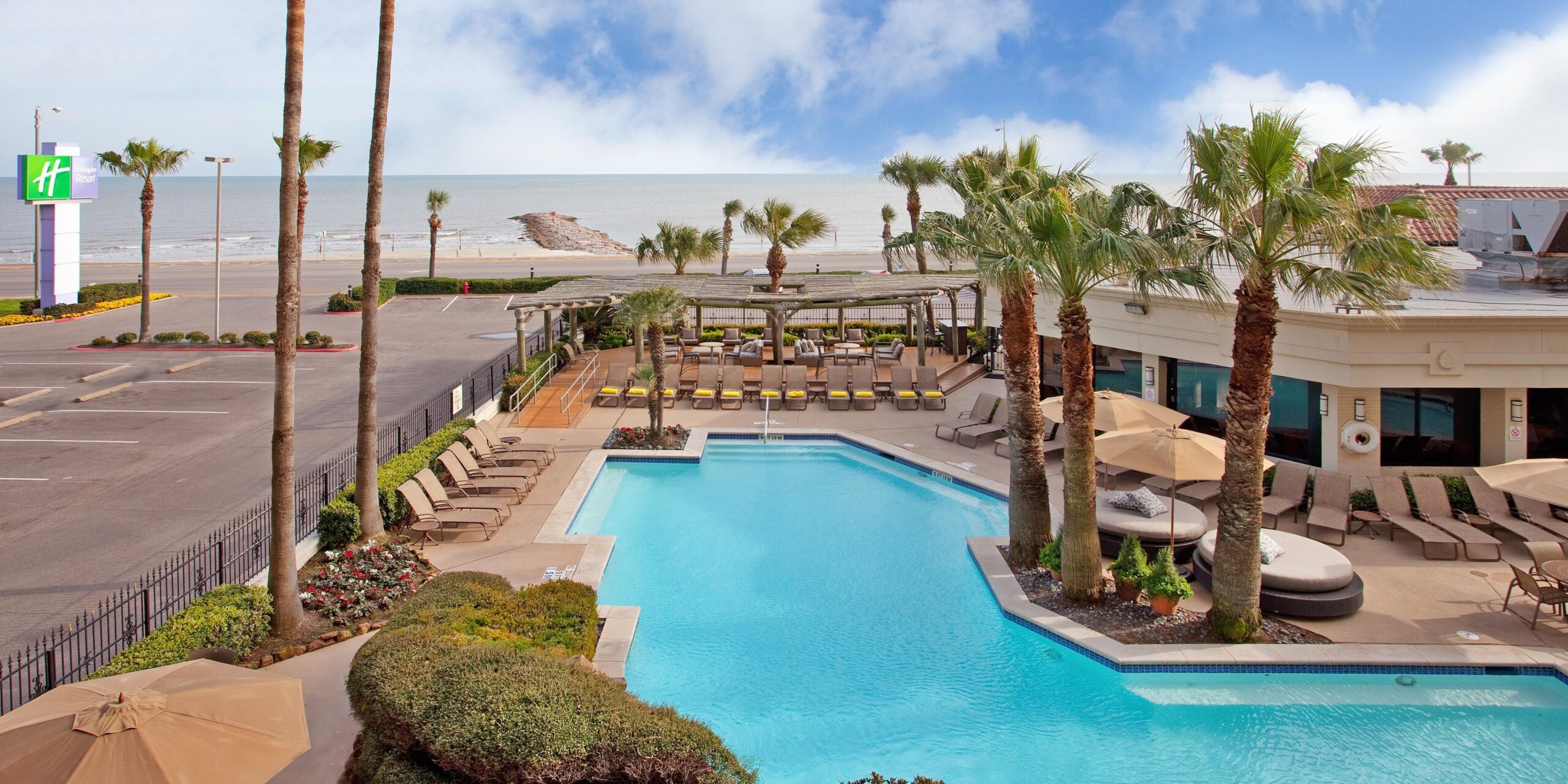 A resort pool surrounded by palm trees with lounge chairs and umbrellas, facing the Galveston beachfront on Seawall Boulevard.
