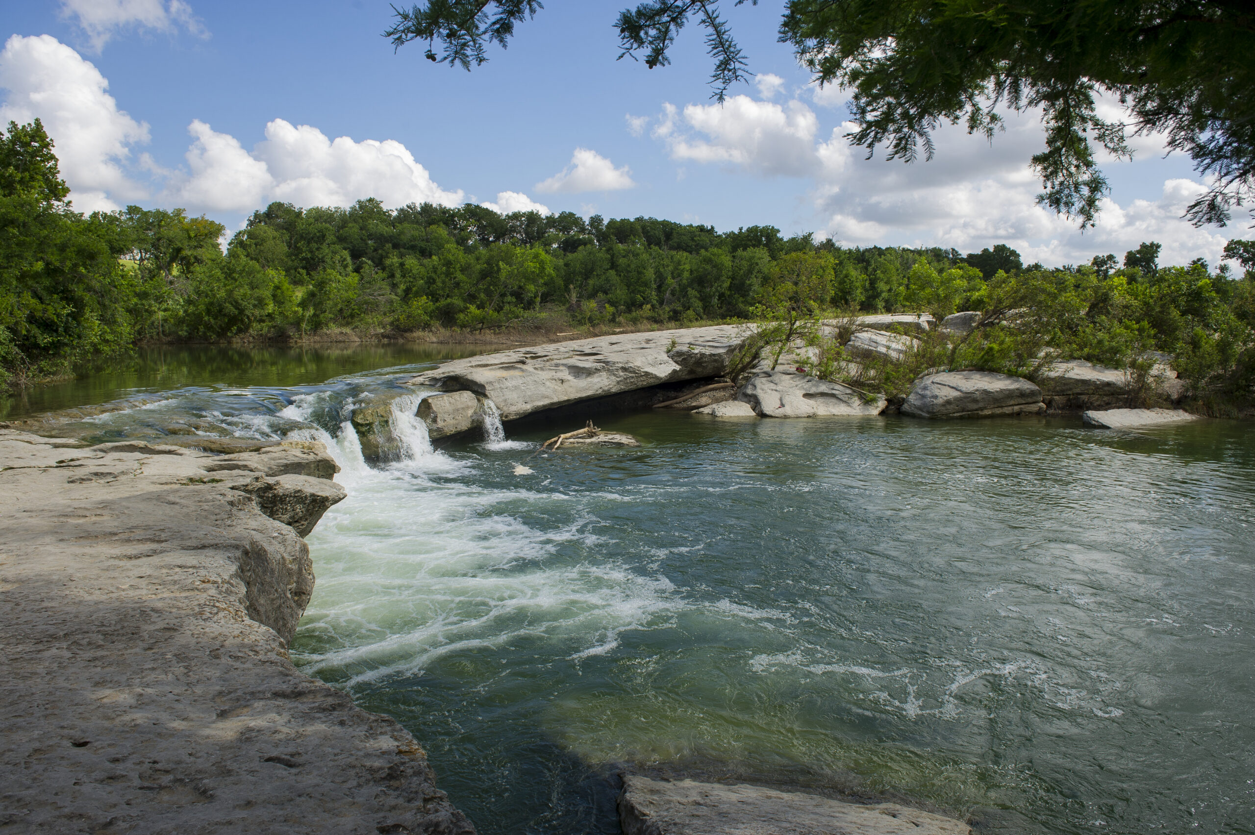 Dog on a leash walking near a scenic waterfall at McKinney Falls State Park, surrounded by rocky terrain and forested backdrop in Austin, Texas.