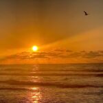 A long wooden pier extending into reflective waters at sunset, with vibrant pink and orange skies above the Galveston wetlands.