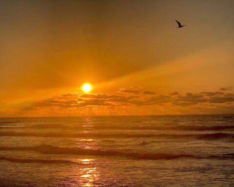 A long wooden pier extending into reflective waters at sunset, with vibrant pink and orange skies above the Galveston wetlands.