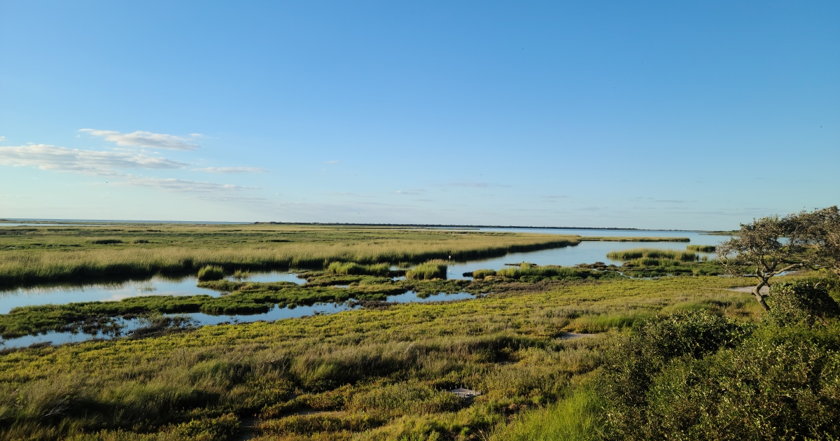 Marshlands and waterways at Aransas National Wildlife Refuge on a sunny day with a clear blue sky.