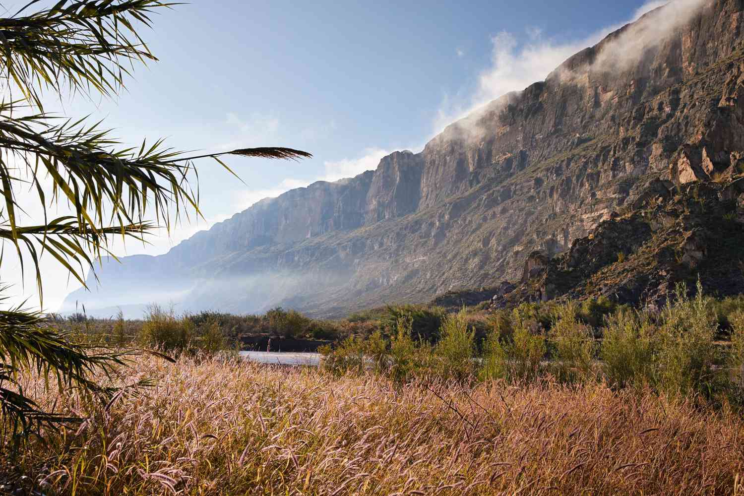 Tall rocky cliffs in Big Bend National Park with mist near the summit, golden grasses in the foreground, and the Rio Grande flowing below.