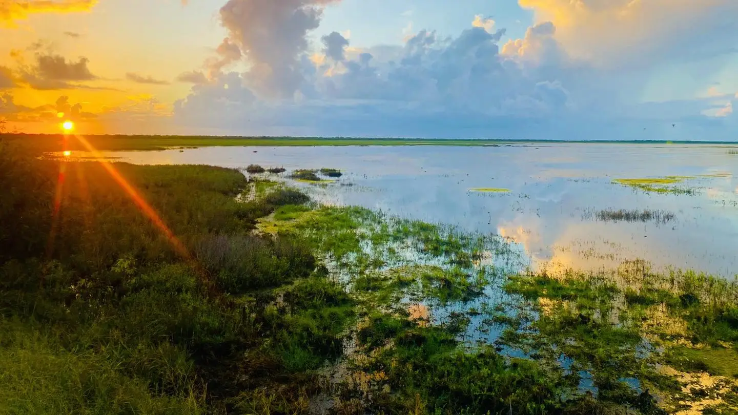 Golden sunset reflecting over wetlands at Laguna Atascosa National Wildlife Refuge with lush vegetation.