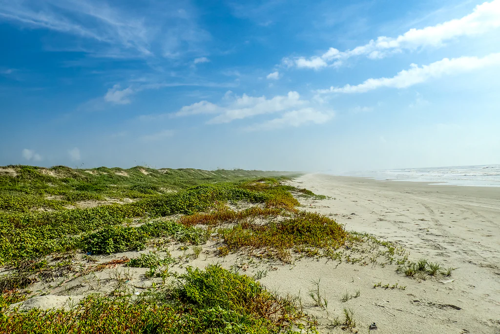 Sandy beach with green coastal vegetation at Padre Island National Seashore under a bright blue summer sky.