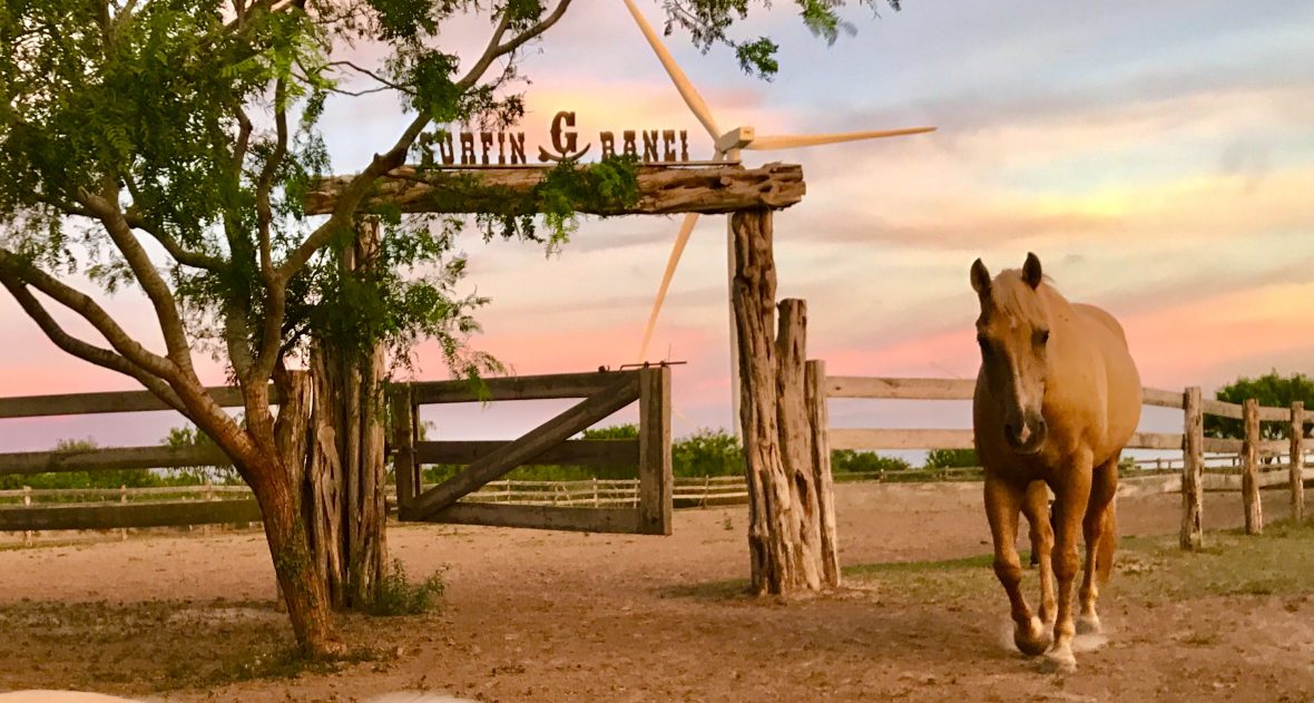 Children and adults horseback riding along sandy dunes at sunset on South Padre Island.