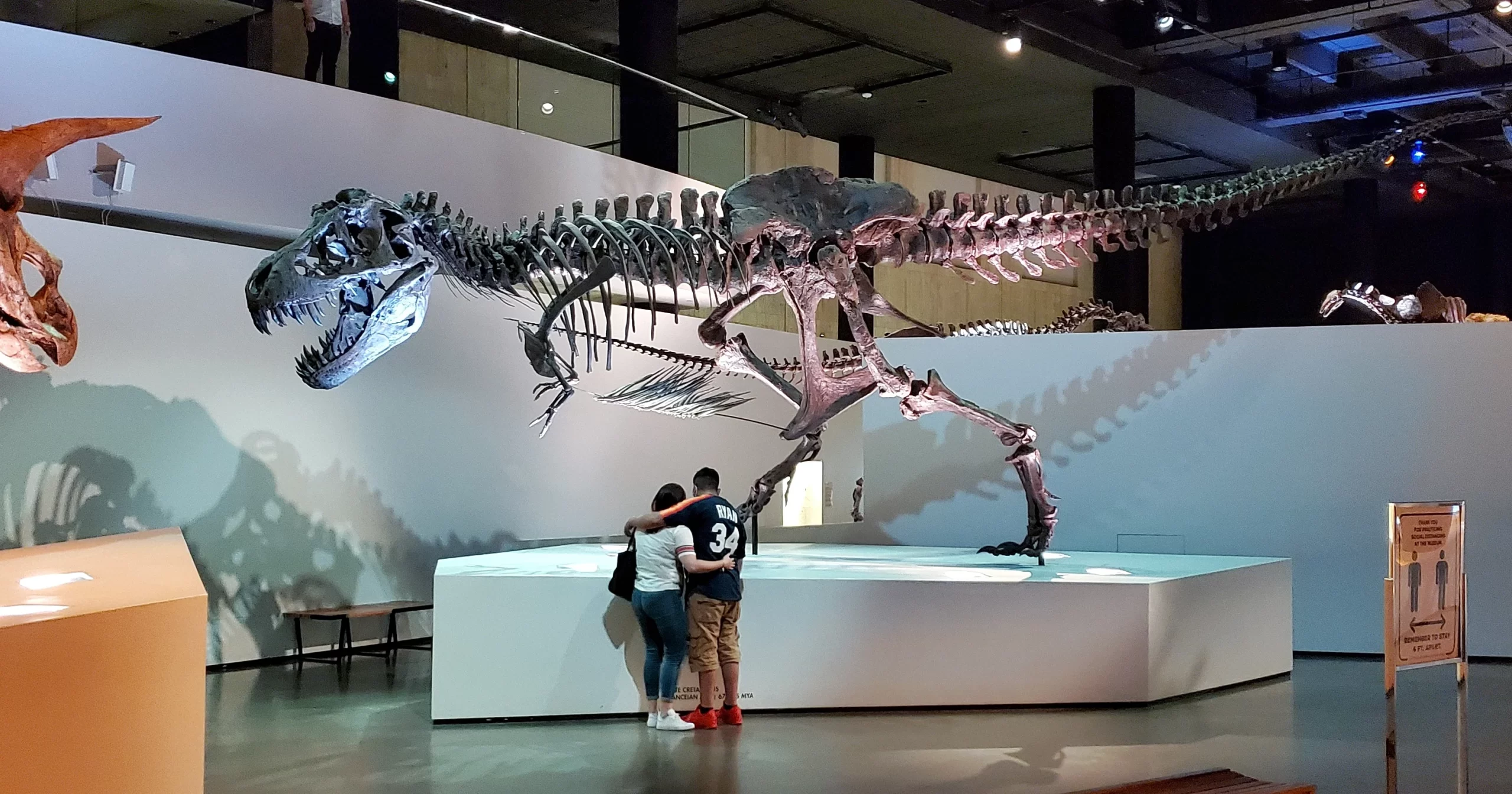 Dinosaur skeleton display at the Houston Museum of Natural Science with children viewing the exhibit