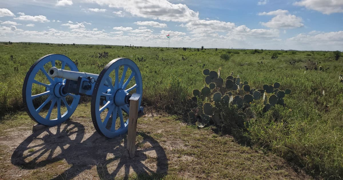 Blue-painted cannon with cactus and open fields at Palo Alto Battlefield National Historical Park in Texas.