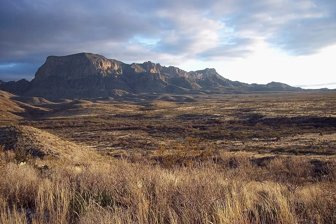 Is Texas the new Hollywood?