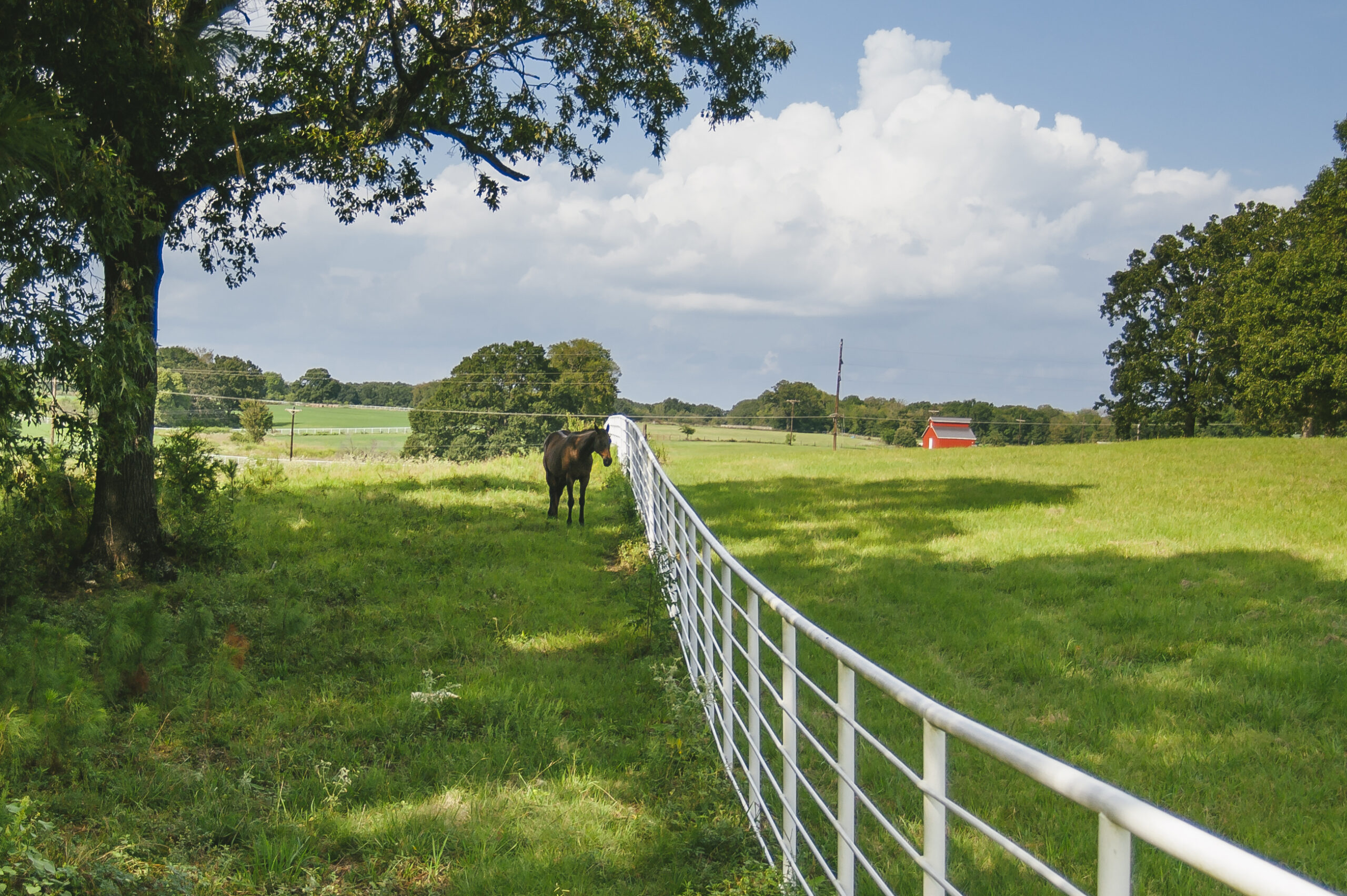 A peaceful East Texas farm landscape — often used in Westerns and rural dramas for its authentic Southern charm