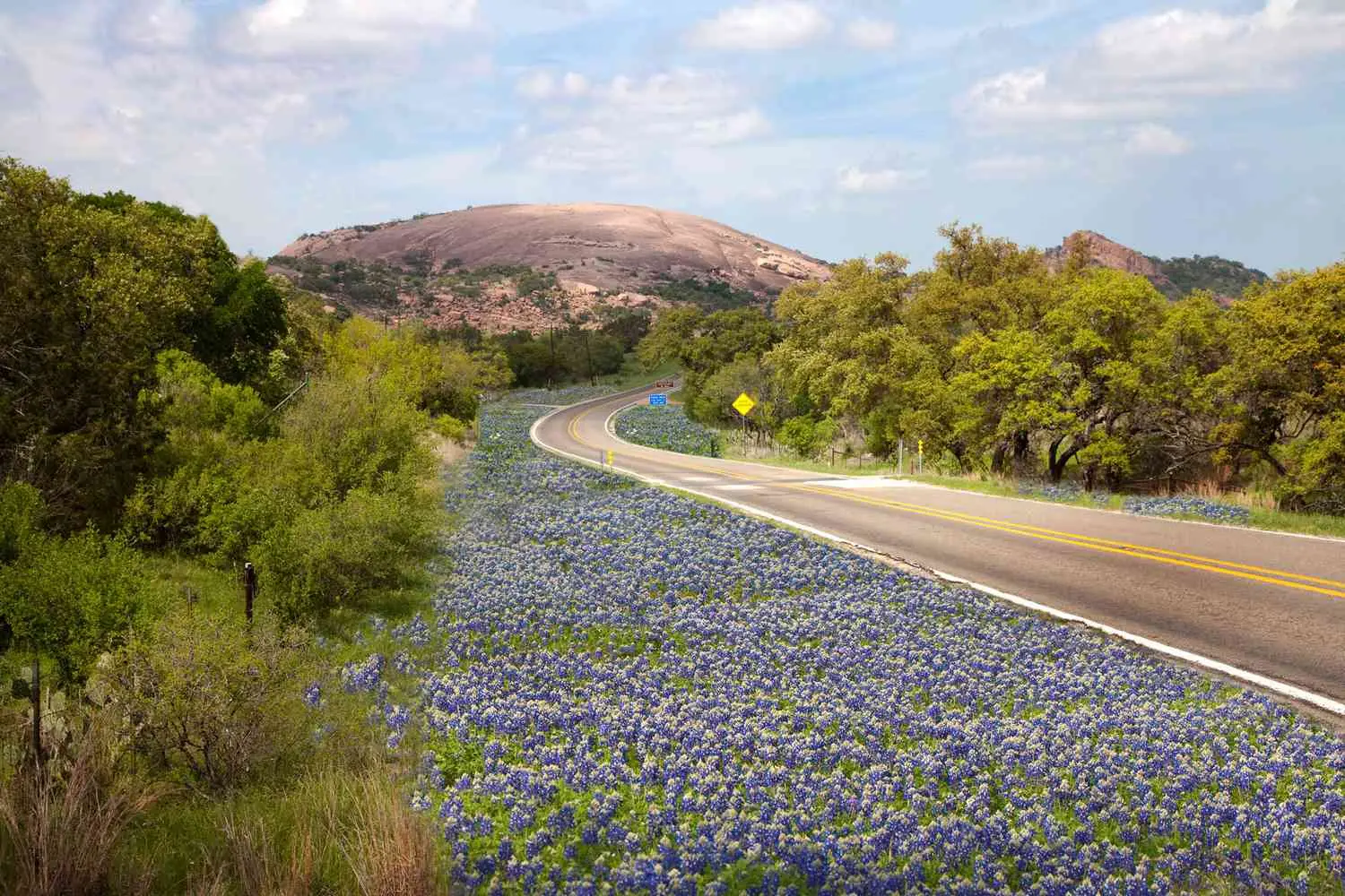 Texas Hill Country road trip on New Year’s Day with rolling hills, wildflowers, and scenic highways