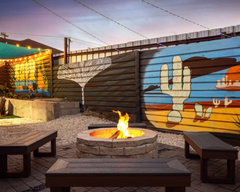 An entire backyard designed for hanging out.