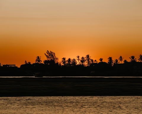 Sunset silhouette of palm trees along the shoreline, highlighting one of the most beautiful beaches in Texas.