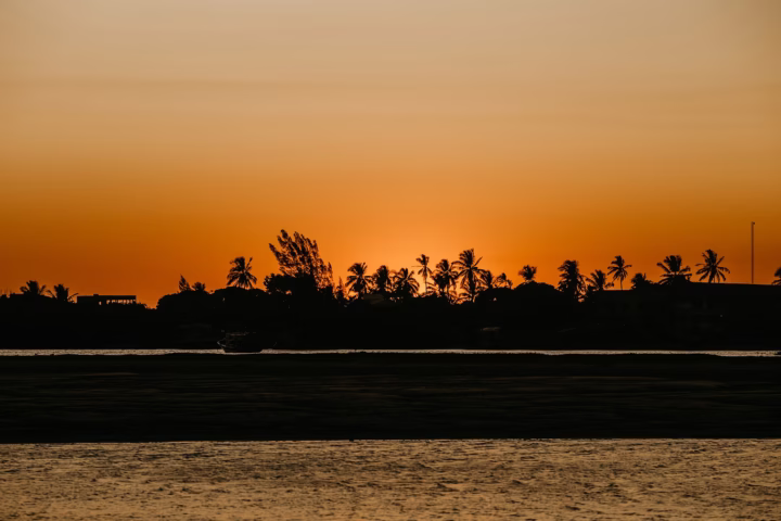 Sunset silhouette of palm trees along the shoreline, highlighting one of the most beautiful beaches in Texas.