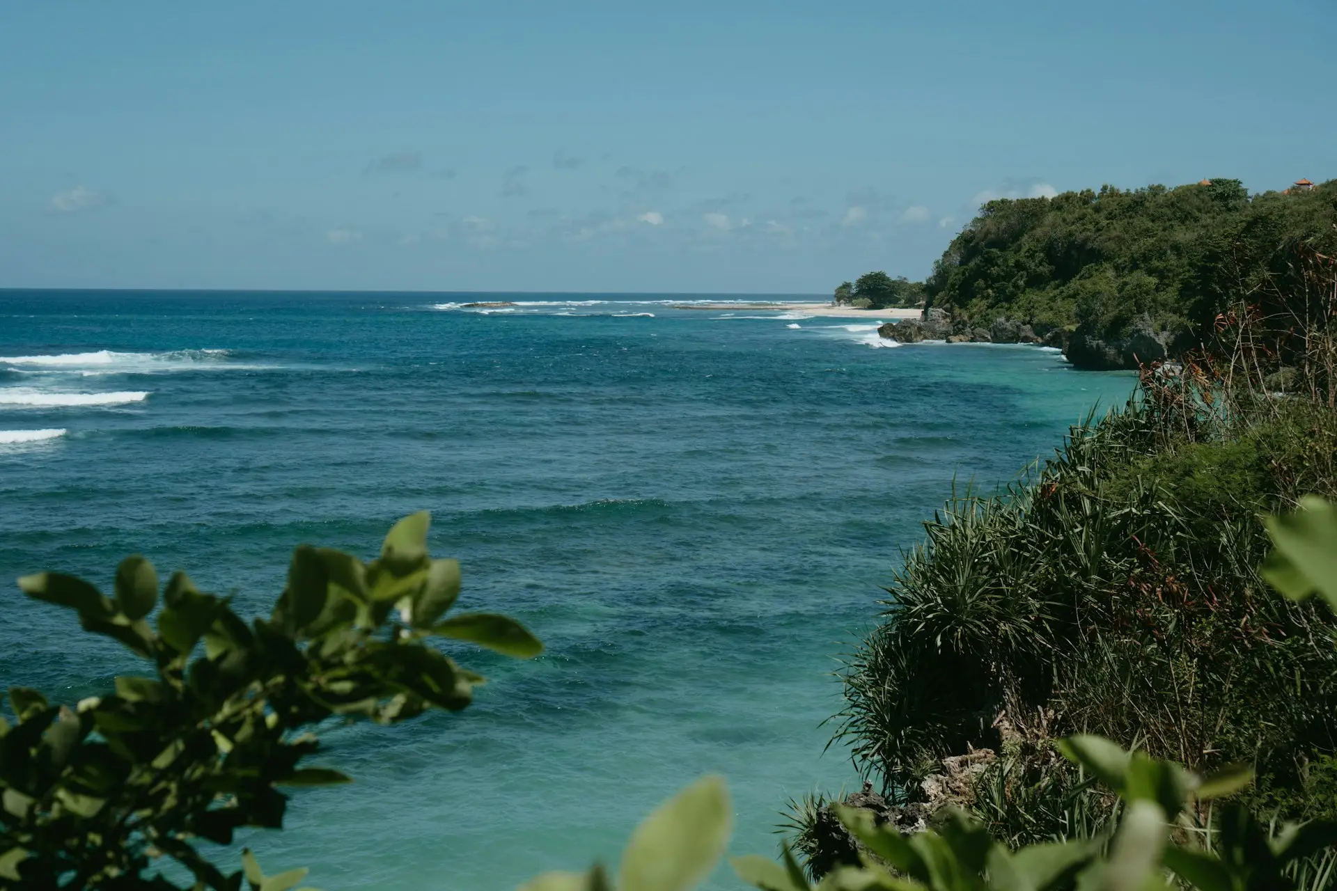 Turquoise ocean waves and rugged green cliffs along the coast of Subtropical Texas.
