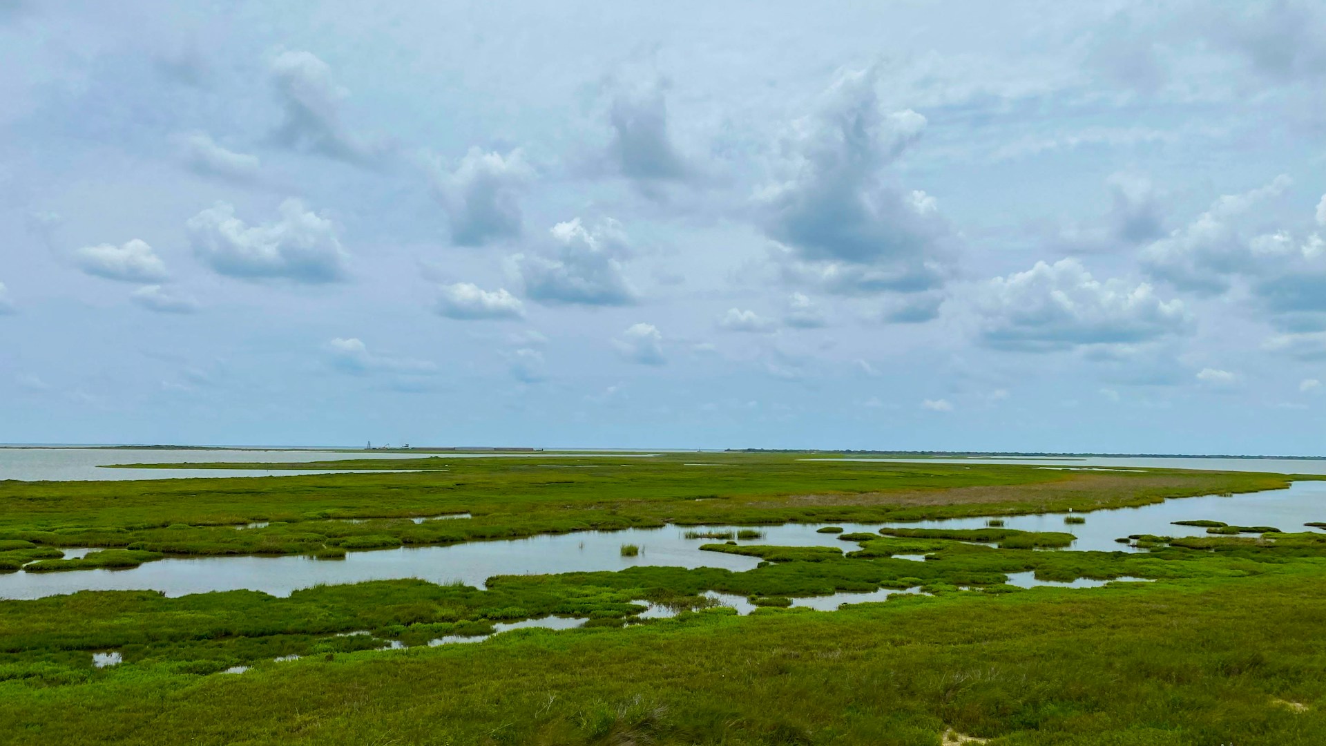 Aransas National Wildlife Refuge