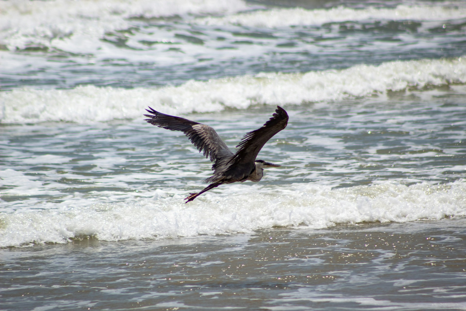 Padre Island National Seashore in Texas