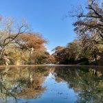 Autumn color along the Guadalupe River at Guadalupe River State Park