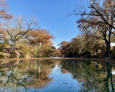 Autumn color along the Guadalupe River at Guadalupe River State Park