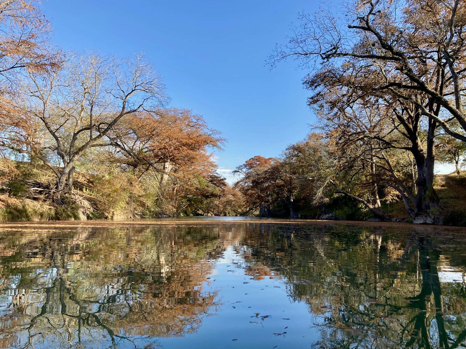 Autumn color along the Guadalupe River at Guadalupe River State Park