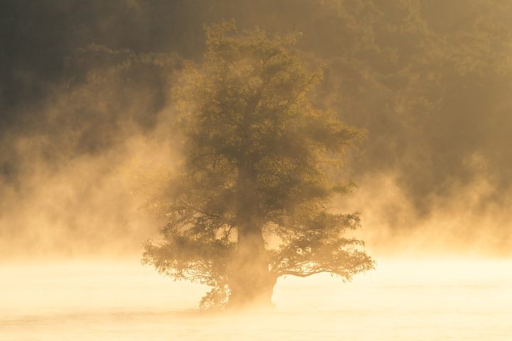 Sunrise over the water at Caddo Lake on the Texas and Louisiana border