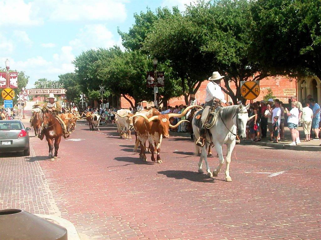 Cowhands guide Texas longhorns down Exchange Avenue during the Fort Worth Herd cattle drive