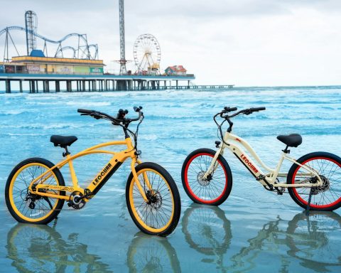 galveston cruises for the holidays
