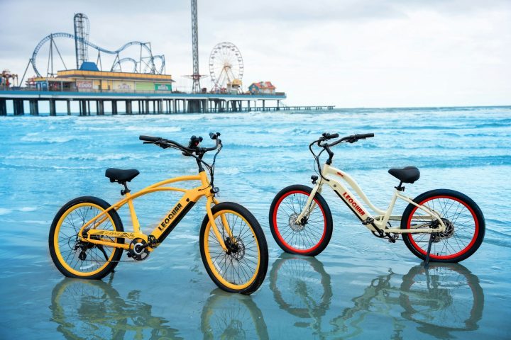 galveston cruises for the holidays