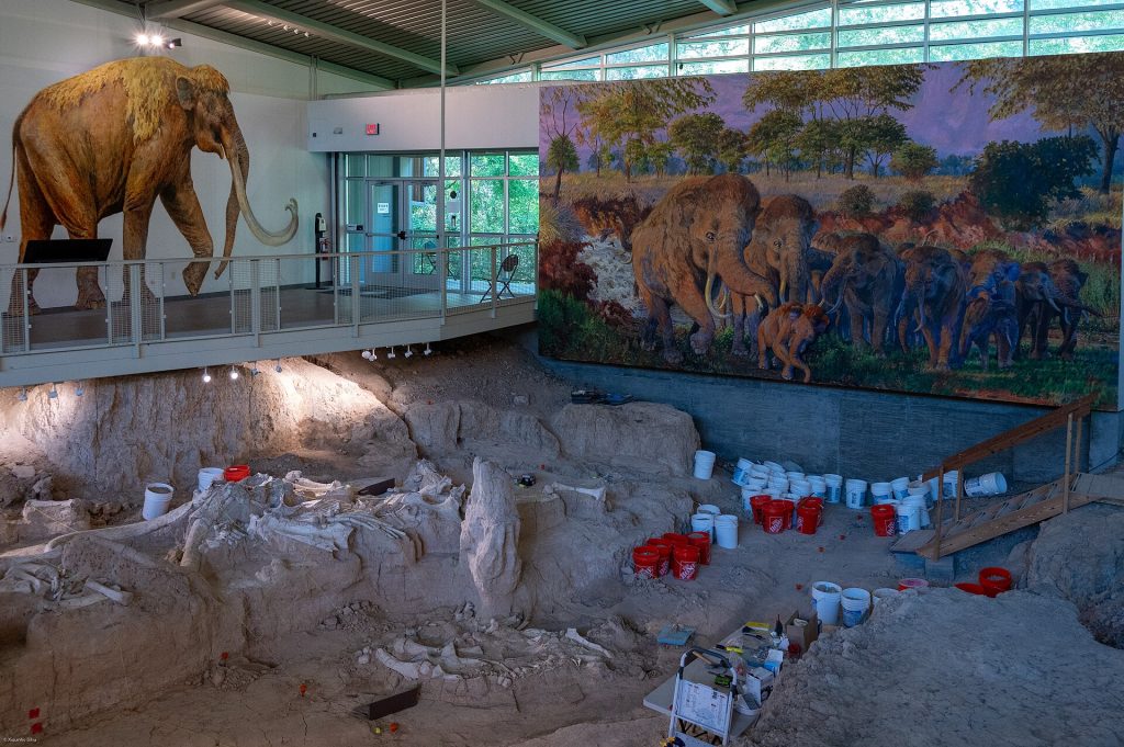 The dig shelter at Waco Mammoth National Monument